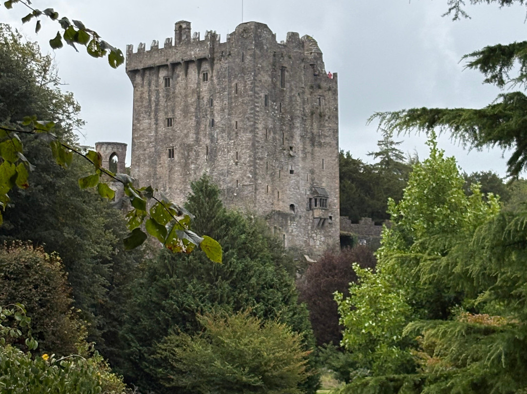 Love Irish Tours-都柏林必去景点