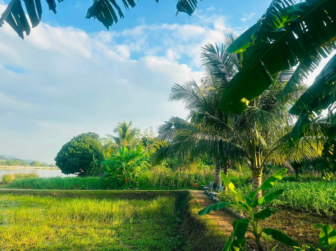 Dong Du Eco Farmstay-Nghia Thuan必去景点