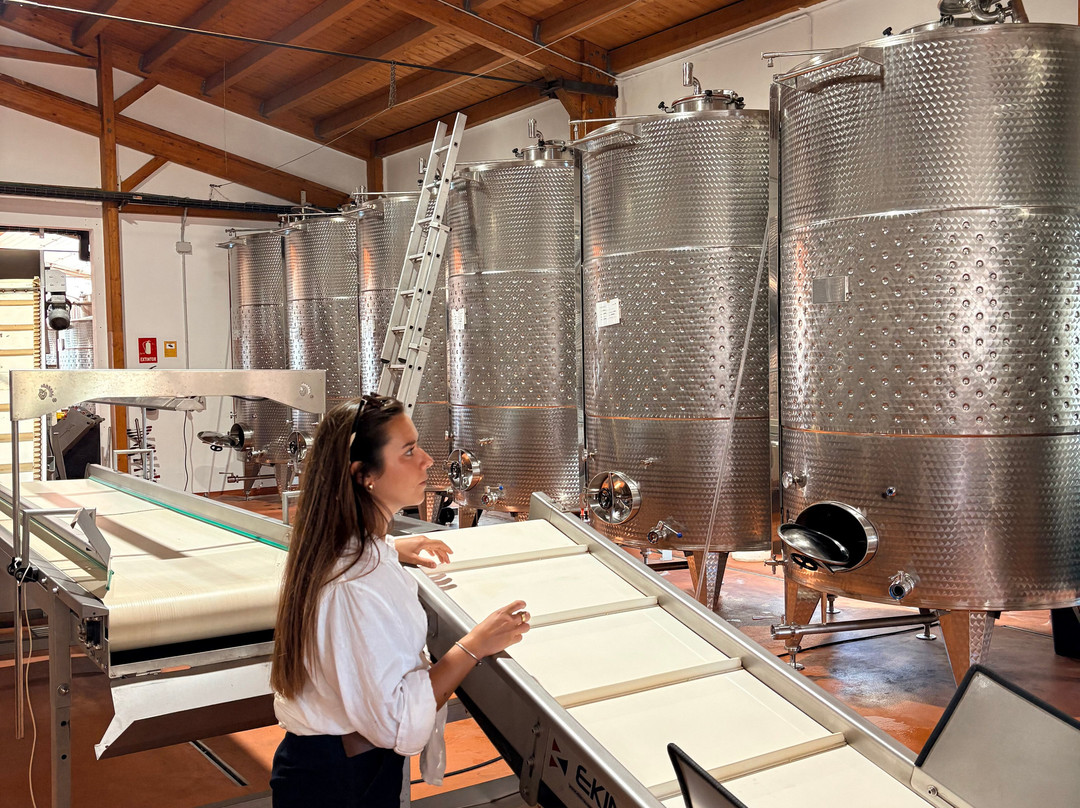 Bodegas Torralbenc-Cala en Porter必去景点