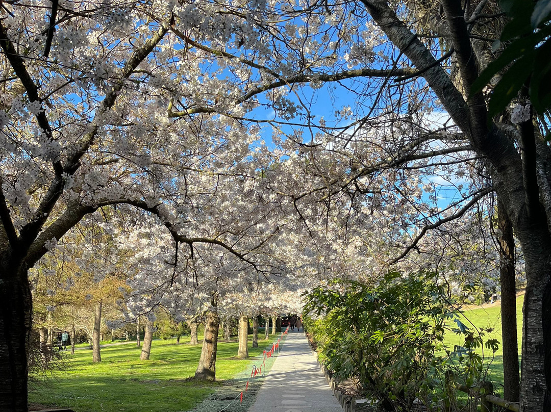 Halswell Quarry Park-基督城必去景点