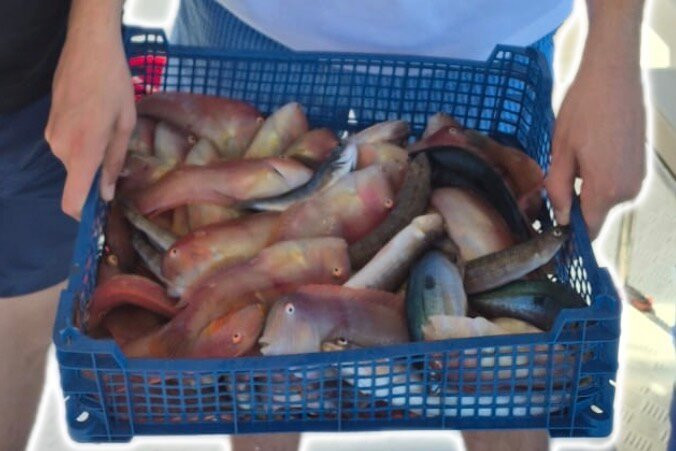 Eva Fishing-帕诺尔莫斯必去景点