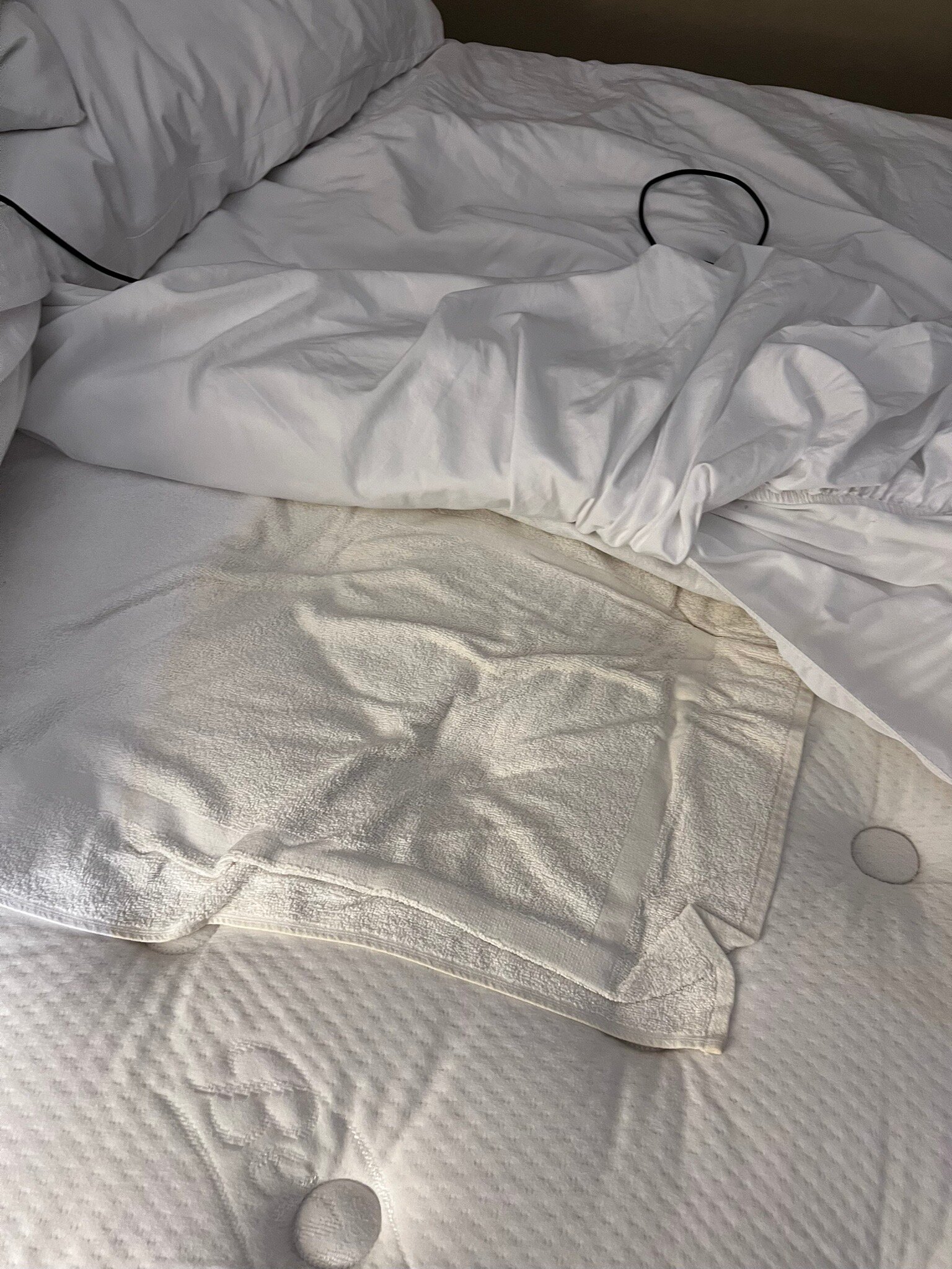 Holiday Inn & Suites 的林地-旅行者