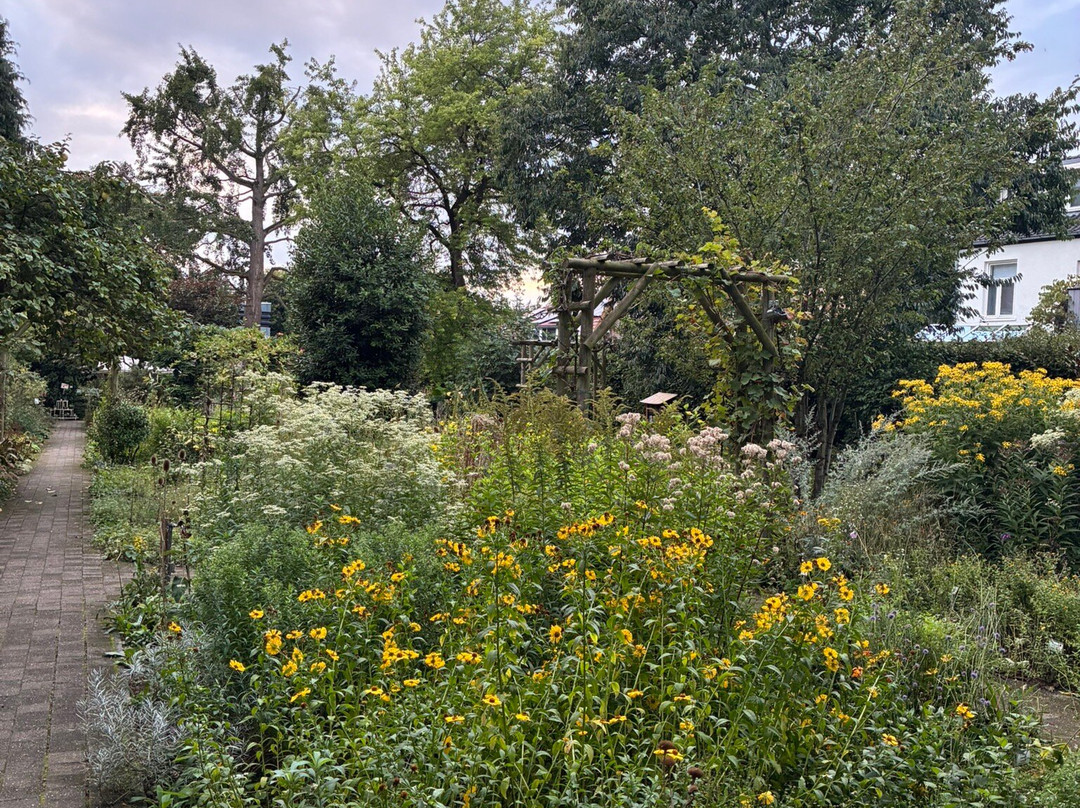 Botanische Tuin Dr. Costerus-Hilversum必去景点