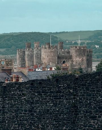 Llys Llewelyn Guest House-旅行者