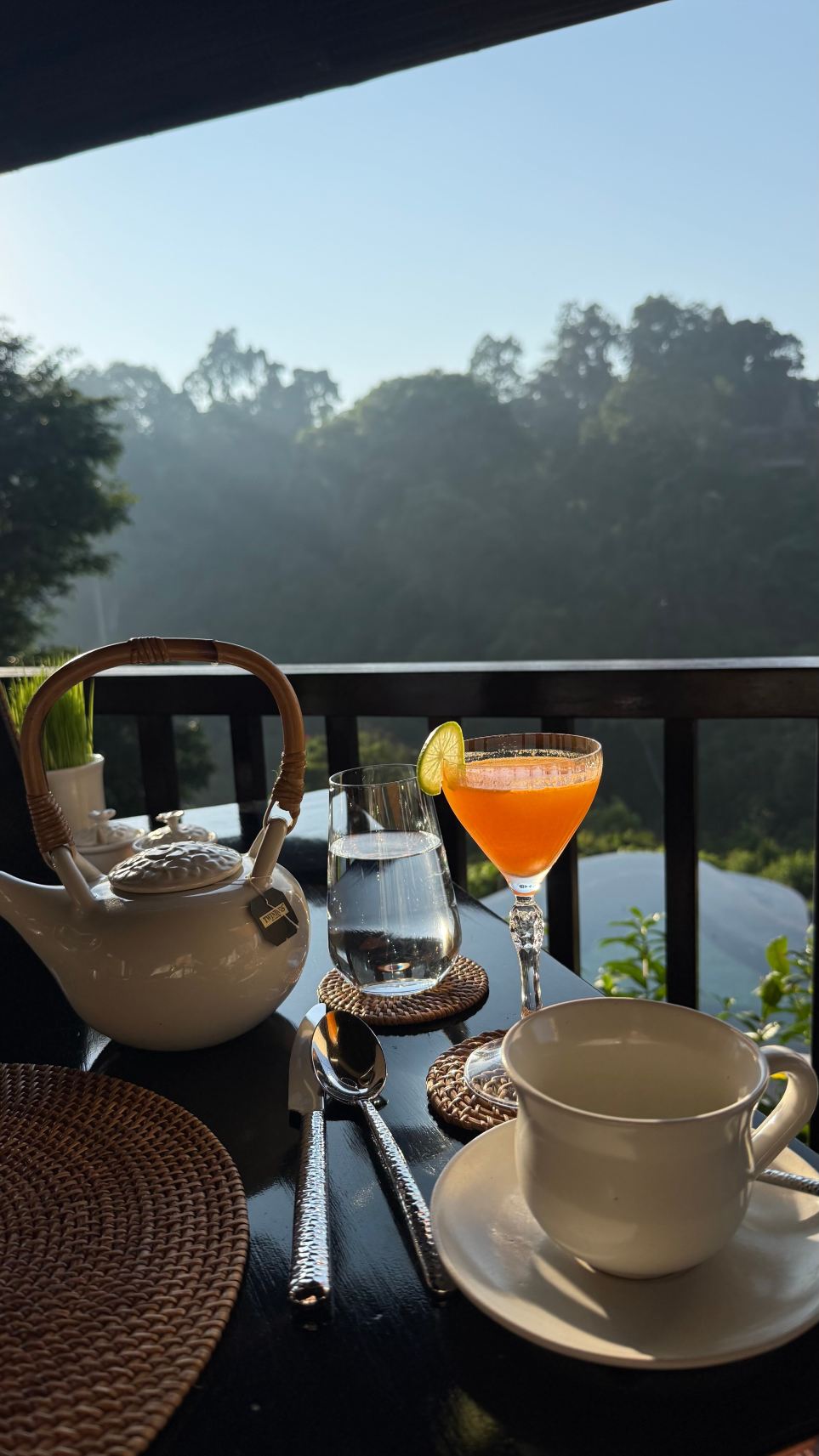 巴厘岛空中花园酒店-旅行者