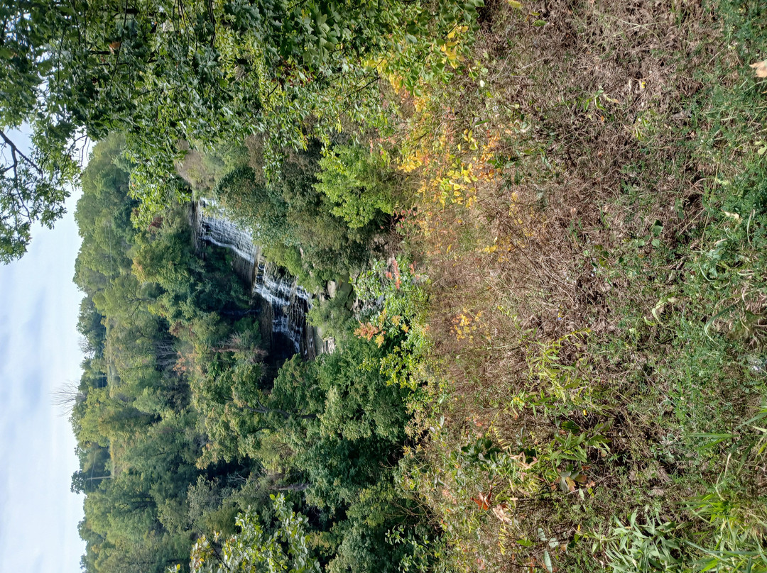 Albion Falls-汉密尔顿必去景点