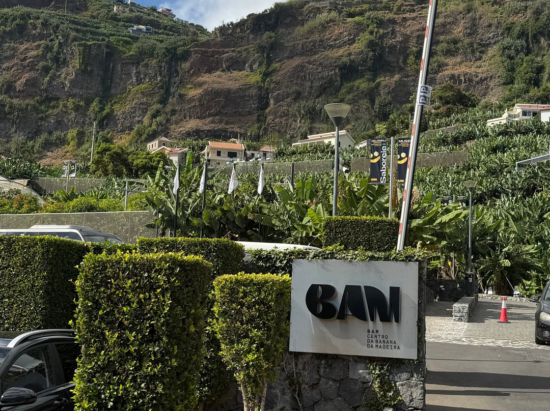 BAM - Centro Da Banana Da Madeira-Ponta Do Sol必去景点