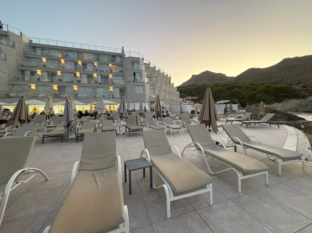 Globales Don Pedro Adults Only +16主图