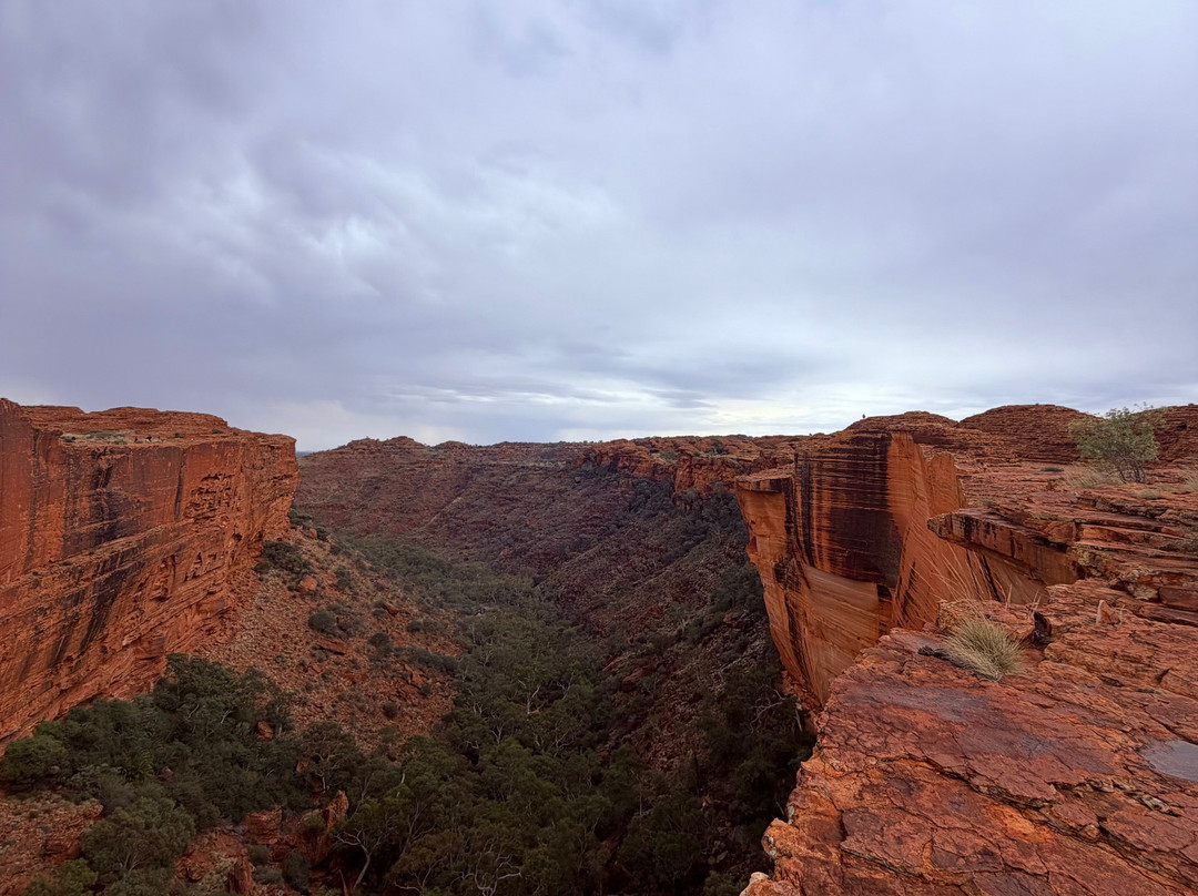 Kings Canyon-Red Centre必去景点