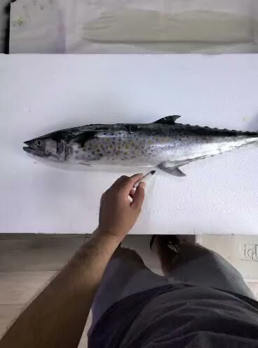 Pura Vida Gyotaku Art Gallery-Playas del Coco必去景点