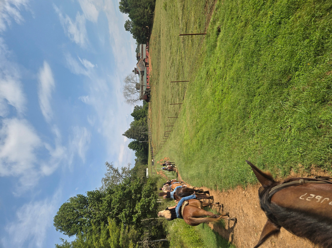 Appalachian Trail Rides-Mineral Bluff必去景点