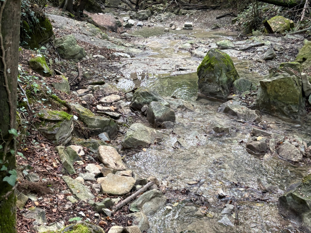 Cascate del Bucamante-Serramazzoni必去景点