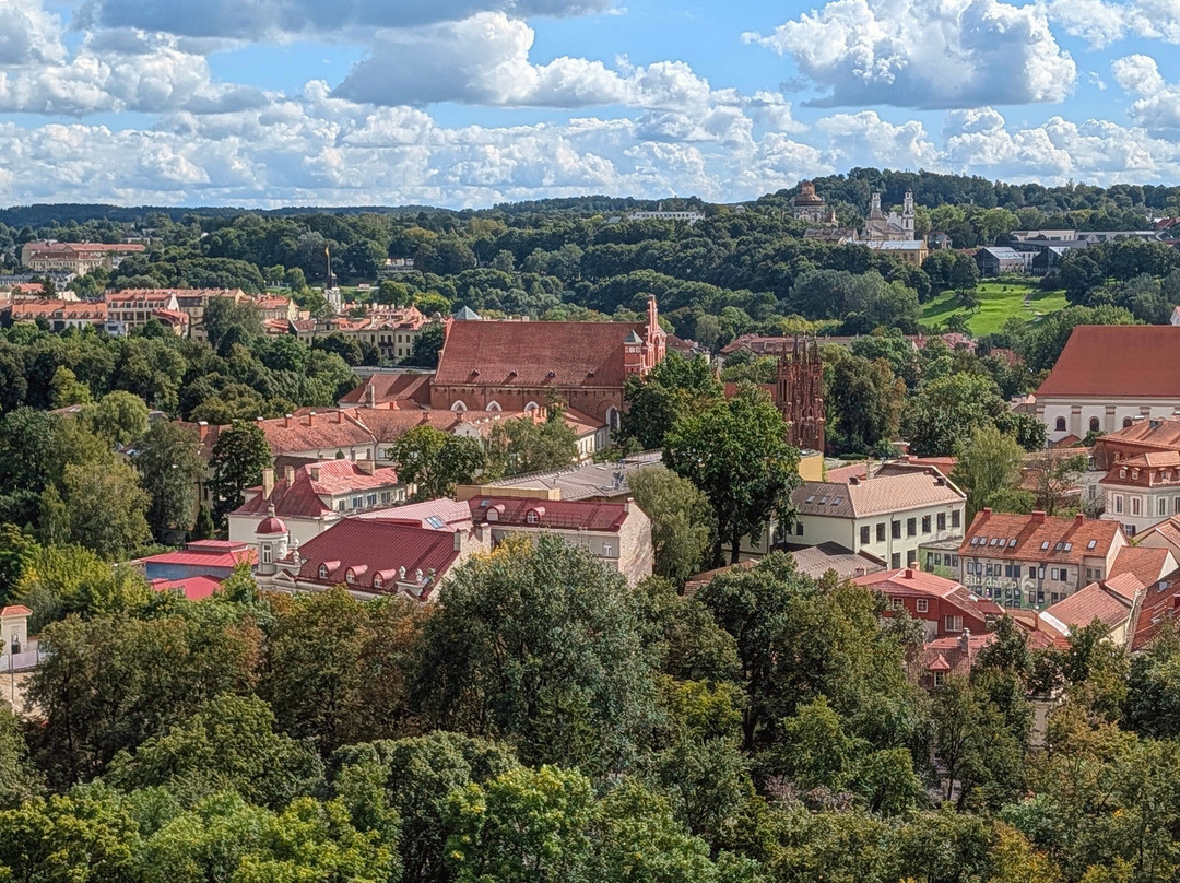 Gediminas Castle Tower-维尔纽斯必去景点
