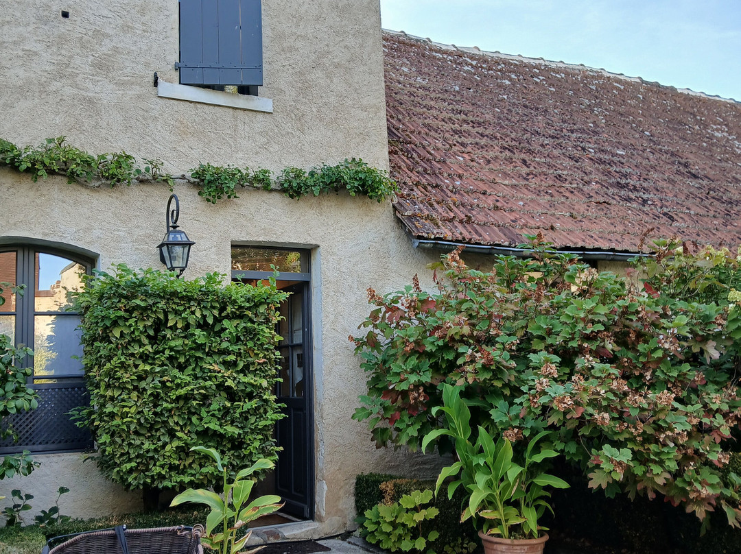 Domaine de la Crapaudine主图