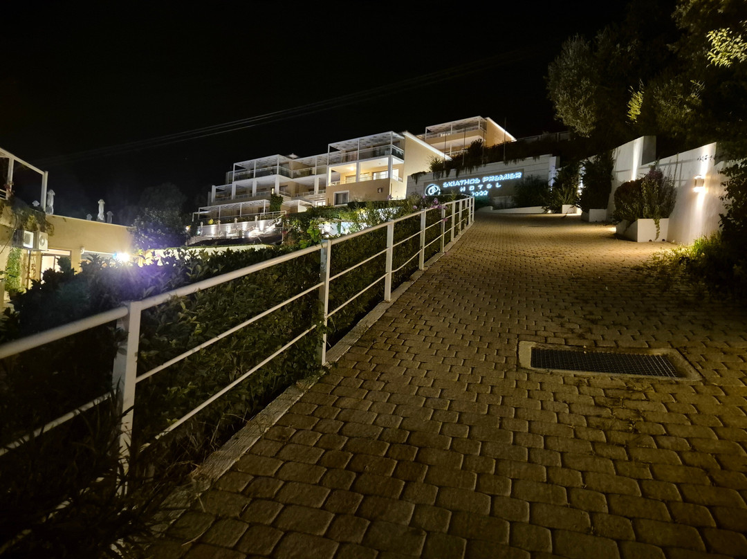 Skiathos Premier Hotel主图