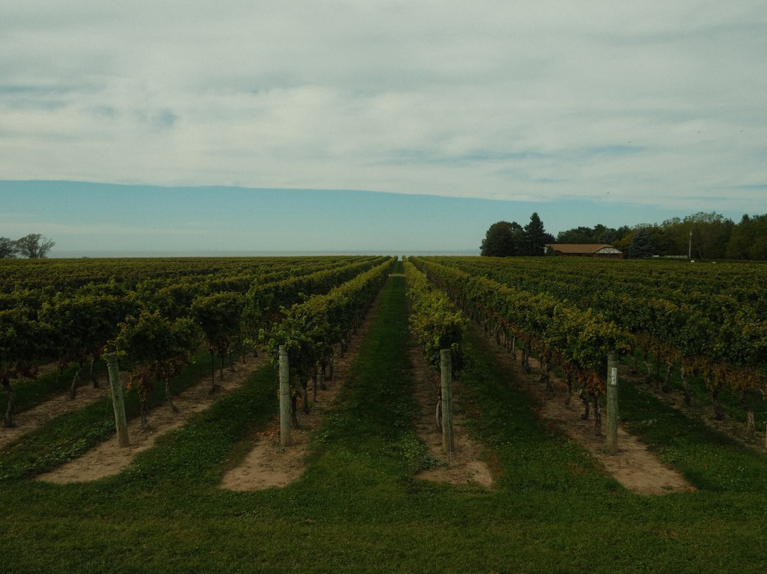 Konzelmann Estate Winery-滨湖尼亚加拉必去景点