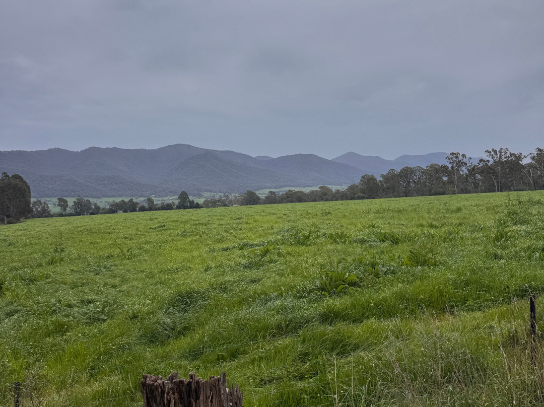 Bogong Horseback Adventures-Tawonga必去景点