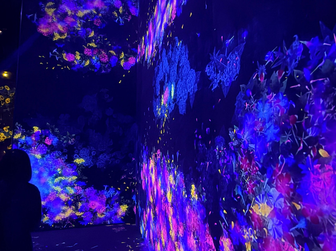 Teamlab Borderless Tokyo-港区必去景点