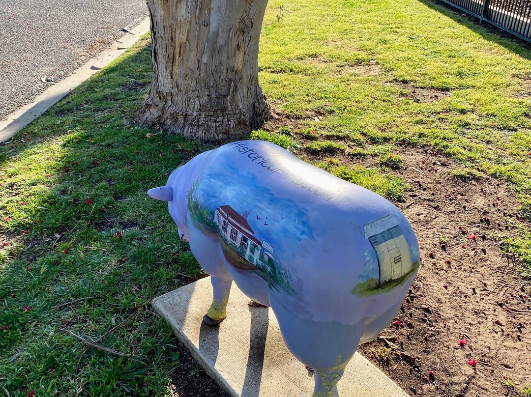 Sheep Art-Kaniva必去景点