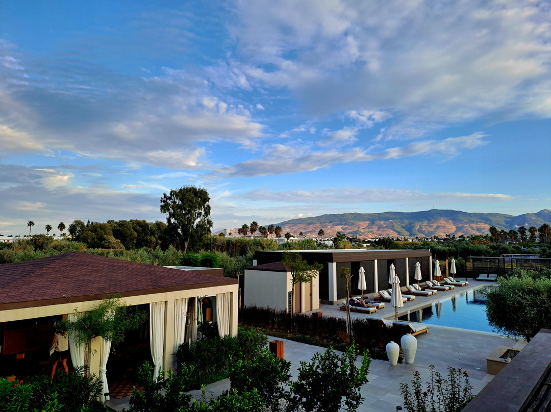 The Ritual, A Wellness Retreat