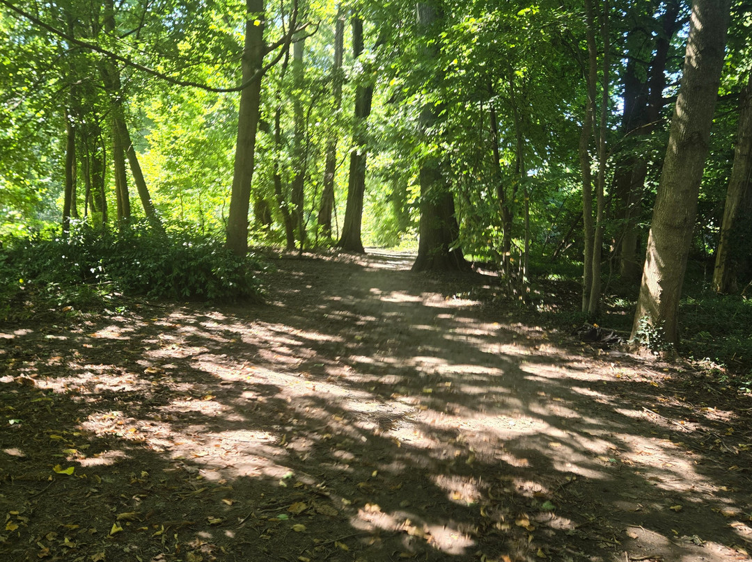 Scout Field County Park-Bronxville必去景点