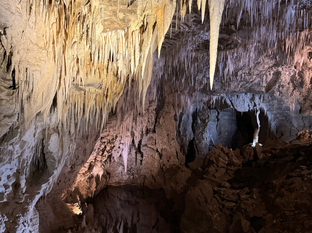 Ruakuri Cave-怀托摩洞穴必去景点