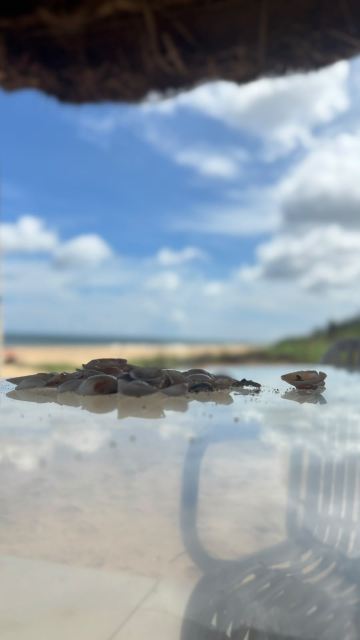 金奈喜来登度假水疗大酒店-旅行者