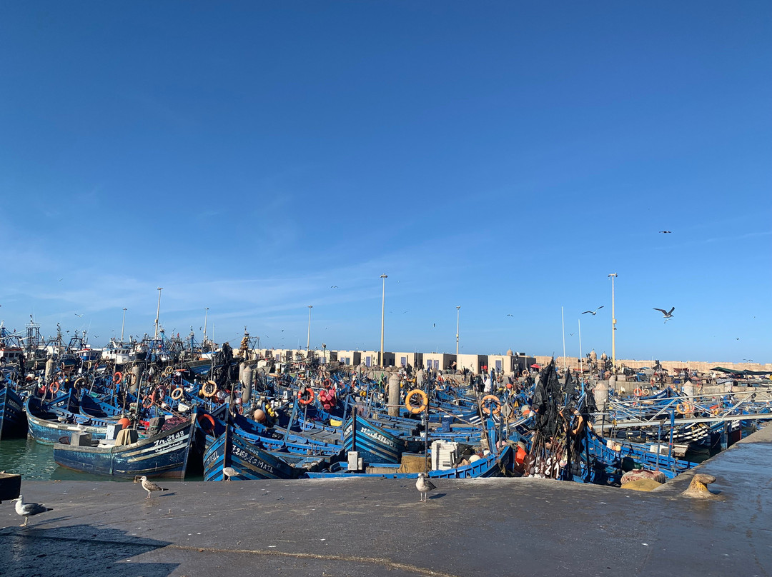 Morocco Gate Tours-非斯必去景点