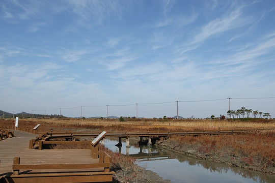 Taepyeong Yeomsaeng Botanical Garden-新安郡必去景点
