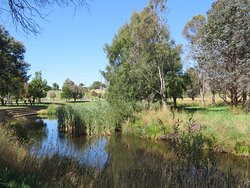 Bill Jeffreys Memorial Park-Delegate必去景点