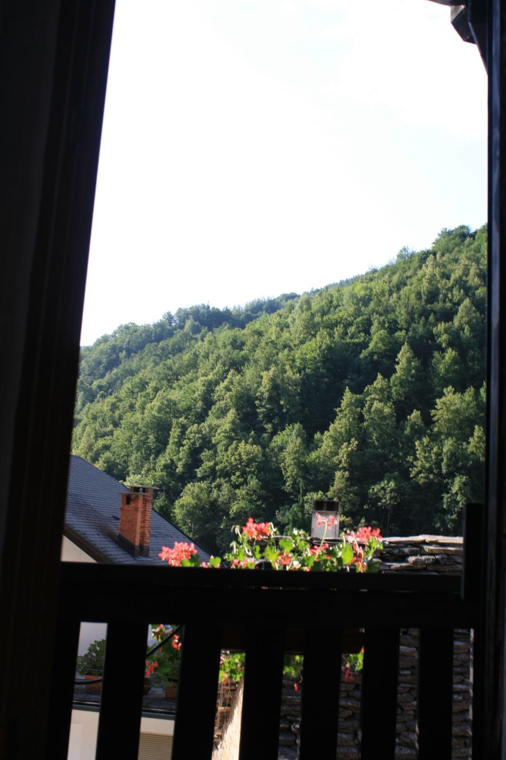 Hotel Edelweiss-客卧