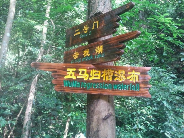 大桂山国家森林公园景点图片