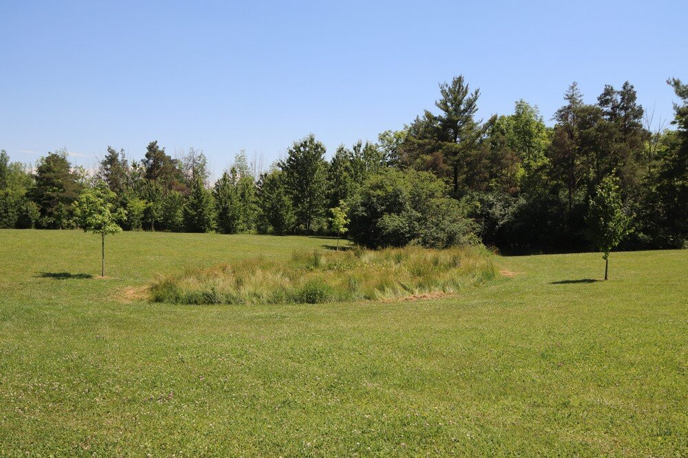 Burgoyne Woods Park-圣凯瑟琳斯必去景点