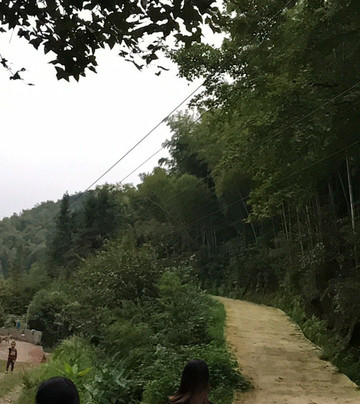 花园洞-桃江县必去景点