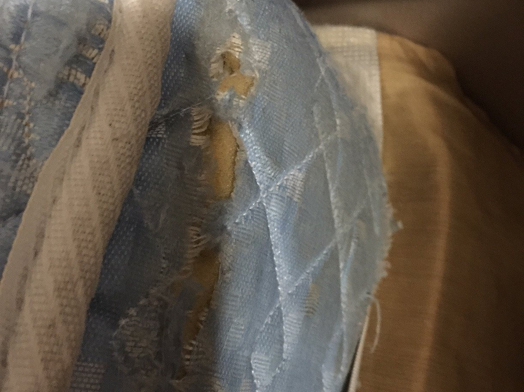 Affordable Suites Burlington主图