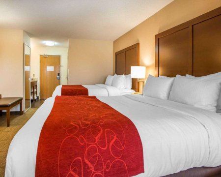 Comfort Suites Columbus West Hilliard-官方