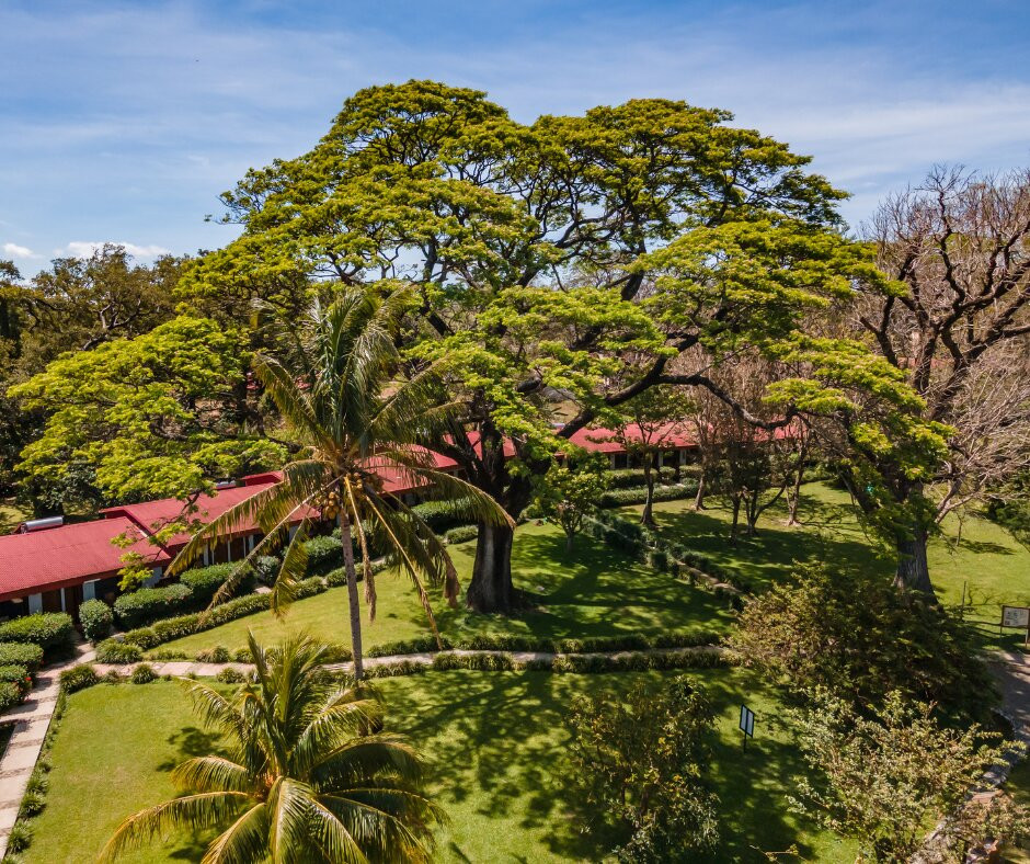 Hotel Hacienda Guachipelin主图