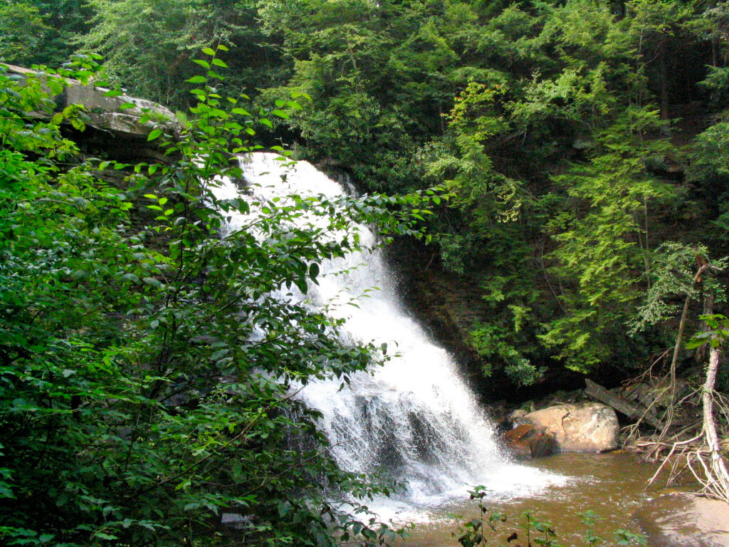 Swallow Falls State Park景点图片