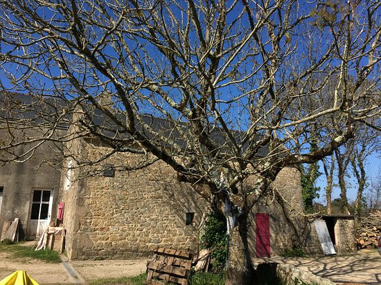 Dolmen De Cruz-menquen-卡纳克必去景点