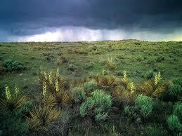 Comanche National Grassland景点图片
