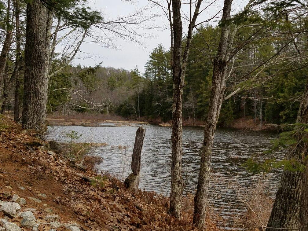 Ossipee Lake Trail景点图片