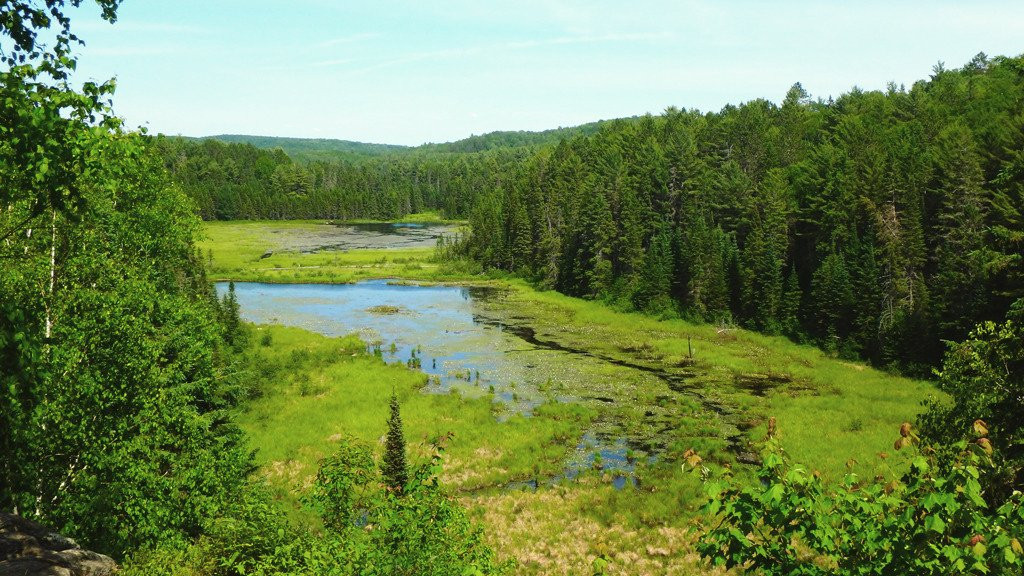 Beaver Pond Trail景点图片