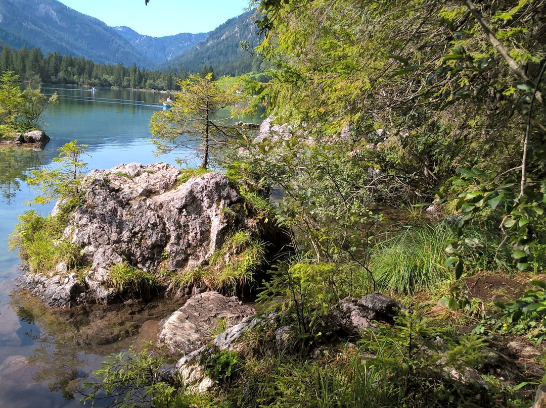 Zauberwald am Hintersee