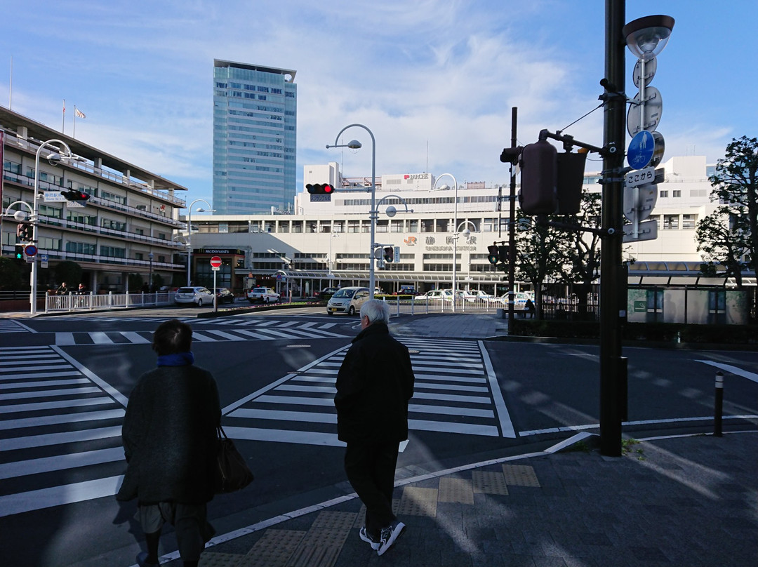 JR Shizuoka Station Building Parche景点图片