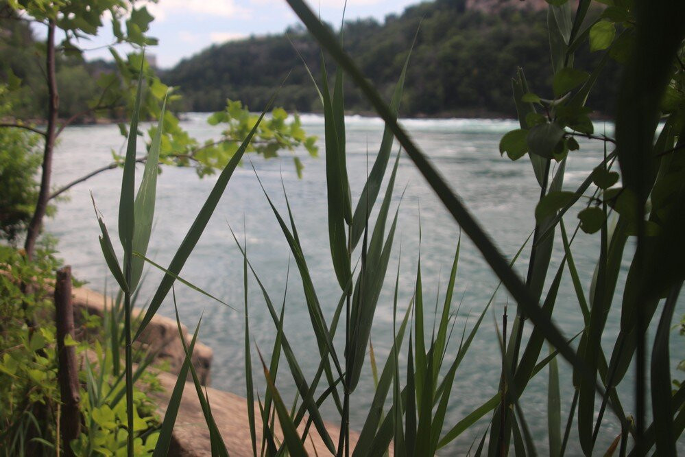 Columbia Lake景点图片