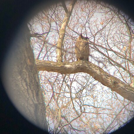 Silverwood Park-Saint Anthony必去景点