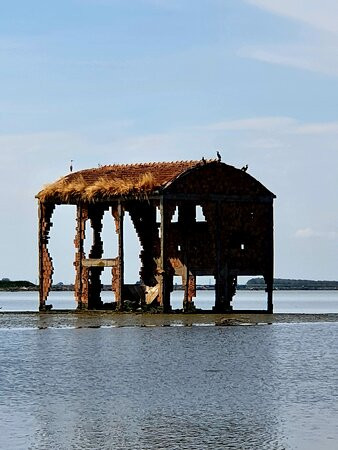 Escursioni in Barca nel Delta del Po - Alberto Barini景点图片