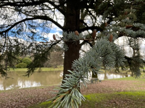 Malmsbury Botanic Gardens景点图片