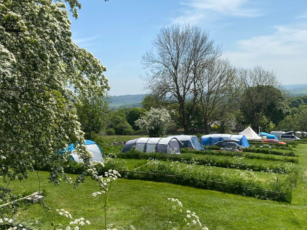 Dale Farm Rural Campsite
