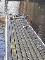 Shearwater Lake景点图片